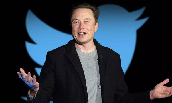 Out of the Blue: Elon Musk and his Twitter&nbsp;Frenzy