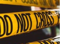 What’s in your Fridge: The Food Blogger and his Parables of&nbsp;Gore