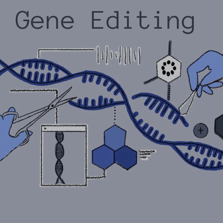 CRISPR – A Turning Point in Genetic&nbsp;Engineering